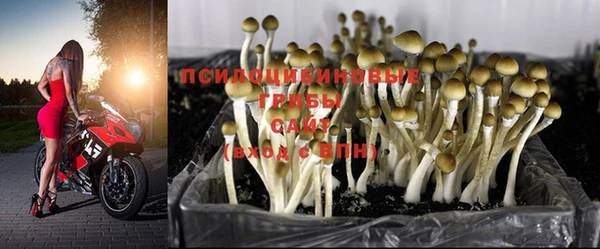 трава Бронницы