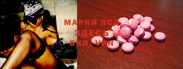 прущие грибы Бабаево