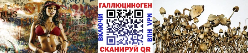купить закладку  Вичуга  Галлюциногенные грибы мухоморы 
